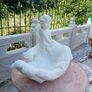 garden Image 2