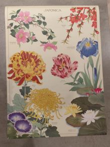 Botanical poster