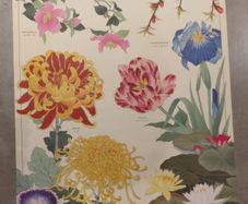 Botanical poster