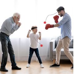 Boxbollen Fitness Game & App