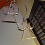 Newbridge Silver Christmas Decorations/ Angels, AV Image 7