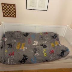 Bed Frame w/ Pull-Out Bed + 1 Mattress