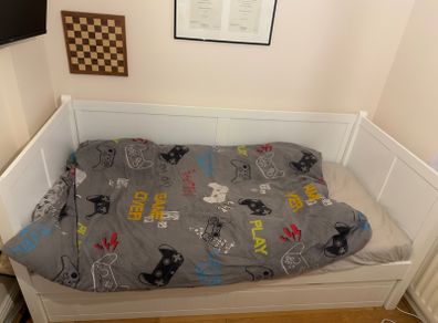 Bed Frame w/ Pull-Out Bed + 1 Mattress