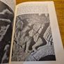 1984 The Irish Harp Irish Life and Culture Series. Image 6