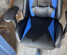 Gaming Chair/Office Chair