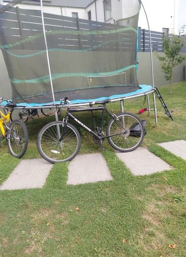 retro adult mountain bike