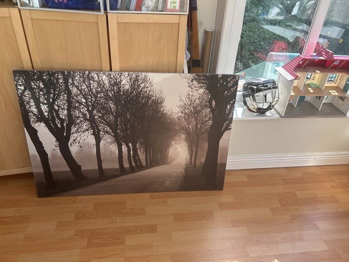 canvass forest picture