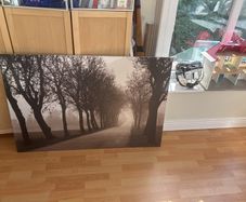 canvass forest picture