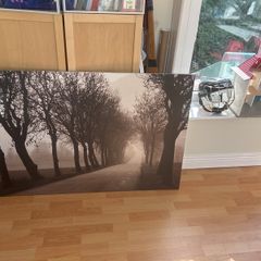 canvass forest picture