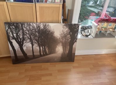 canvass forest picture