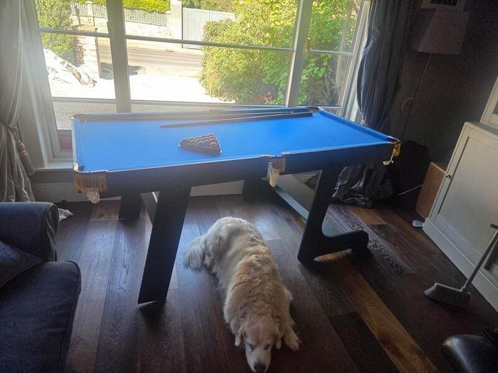 6 foot Pool Table