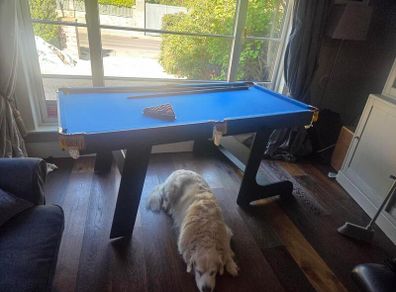 6 foot Pool Table