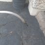 Stihl strimmers Image 6