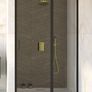 BESCO Walk-In Shower Exo-C Black 120x190cm Image 4