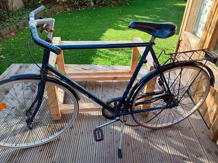 adults bike