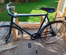 adults bike