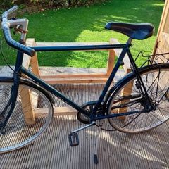 adults bike
