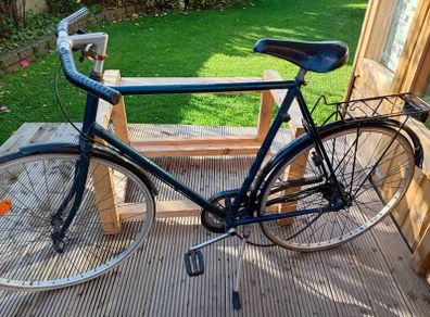 adults bike