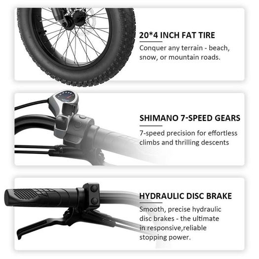 Gunai-T All-terrain Electric Bike