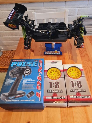 Xtm burshless buggy 1/8 scale
