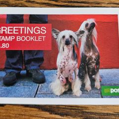 2006 Ireland Chinese New Year Year of the Dog Commemorative Stamps Miniature Sheet Mint Never Hinged (MNH)