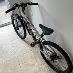 Girls mountain bike
