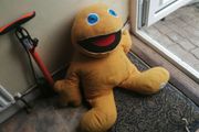zippy teddy
