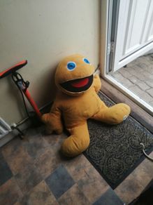 zippy teddy