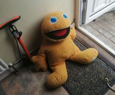 zippy teddy
