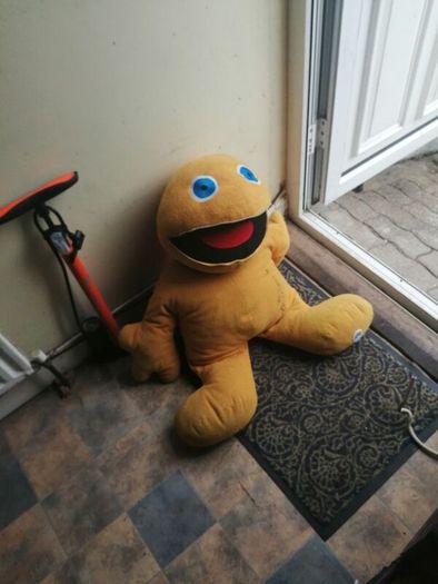 zippy teddy