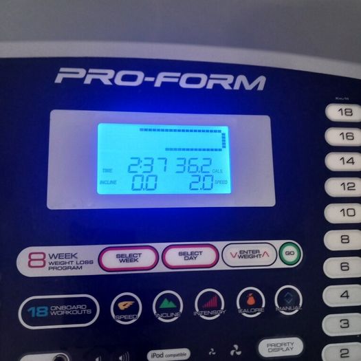Pro-Form Folding Treadmill