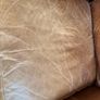 2 x Brown Leather 2-Seater Sofas Image 6