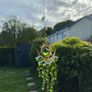 Brand New Suncatcher Image 3