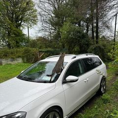 Volkswagen Passat B7 / Price is negotiable