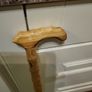 Walking stick Image 6