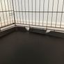 Folding Dog Crate Image 3