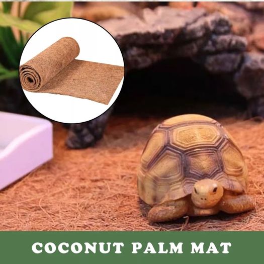 50cm x 150cm Coconuts Shells Matts Carpet for home decorations