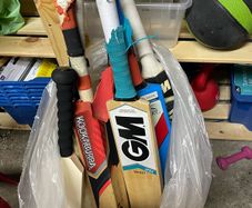 cricket bats