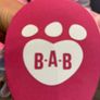 Build a Bear Teddy Image 3