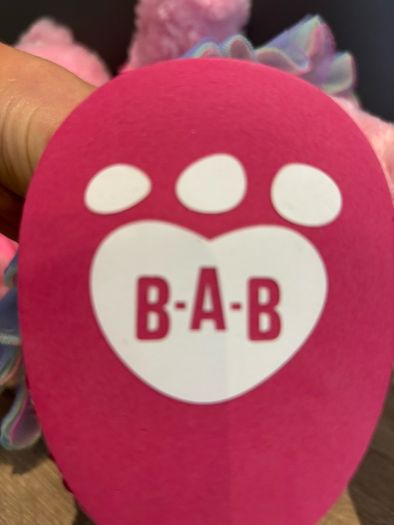 Build a Bear Teddy