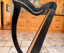 29 String Gear4music Harp
