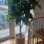 Artificial apple tree Image 2