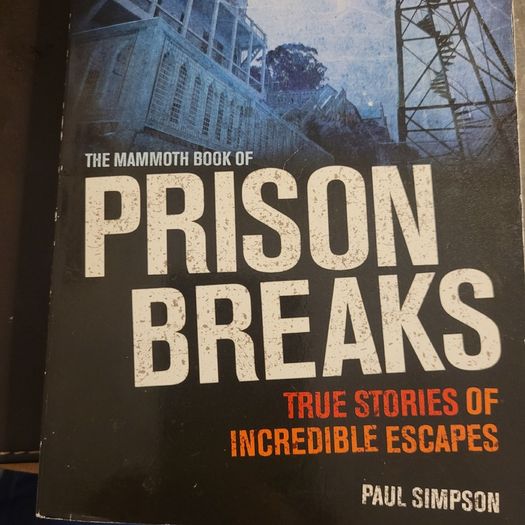 Prison Breaks by Paul Simpson.