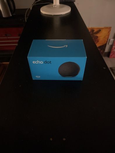Echo Dot (New)