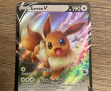 pokemon Eevee catd
