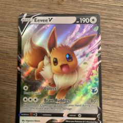 pokemon Eevee catd