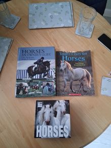 horse books