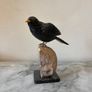 Hand-Carved Gemstone Blackbird on Crystal Geode Base Image 2