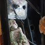 Fish tank 40lt Image 4