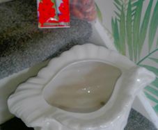 Large Shell / Plant Pot (& free 25 Gladiolus Bulbs!)